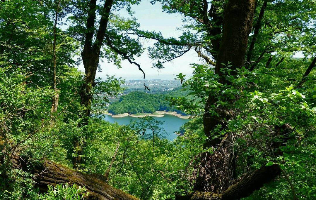 Lankaran
